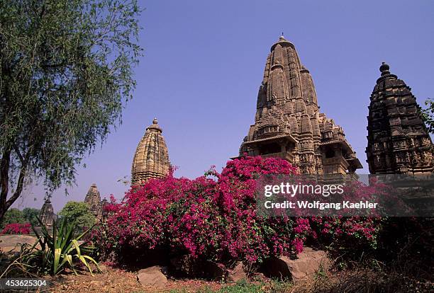 India, Khajuraho, Hindu Temple Complex, 950-1050 Ad, Lakshmana Temple, Bougainvillea.