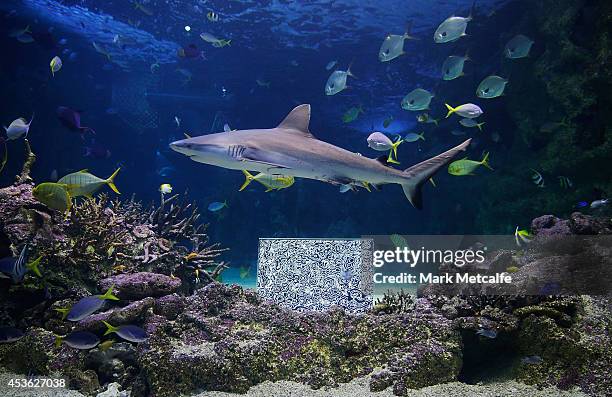 Artwork by BJ Price is seen at SEA LIFE Sydney Aquariam at Darling Harbour on August 15, 2014 in Sydney, Australia.