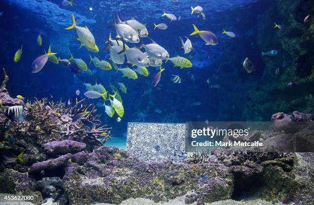 Artwork by BJ Price is seen at SEA LIFE Sydney Aquariam at Darling Harbour on August 15, 2014 in Sydney, Australia.