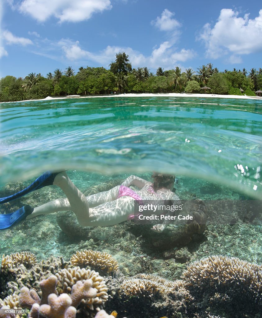 Woman snorkelling in tropical location