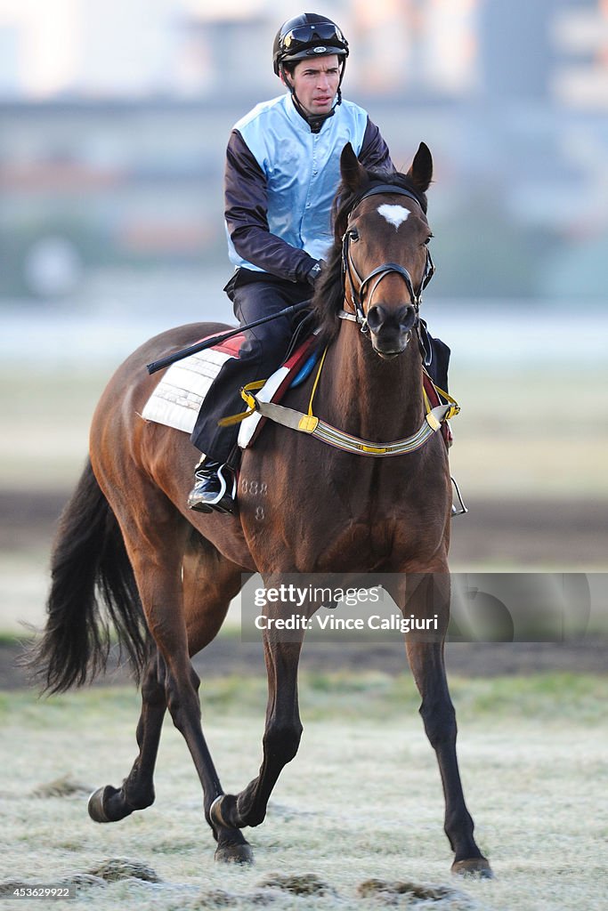 Flemington Trackwork Session