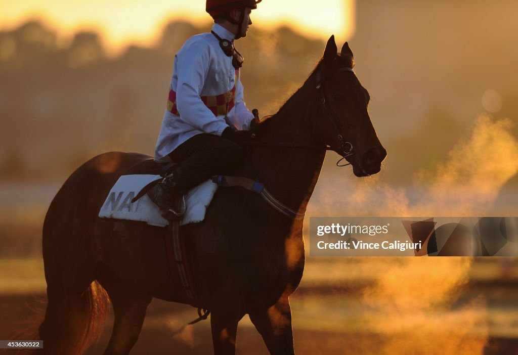 Flemington Trackwork Session