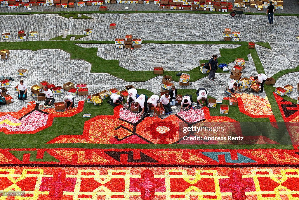 Flower Carpet 2014 In Brussels