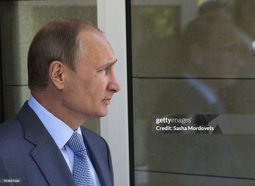 Russian President Vladimir Putin Meets Finnish President Sauli Niinisto In Sochi