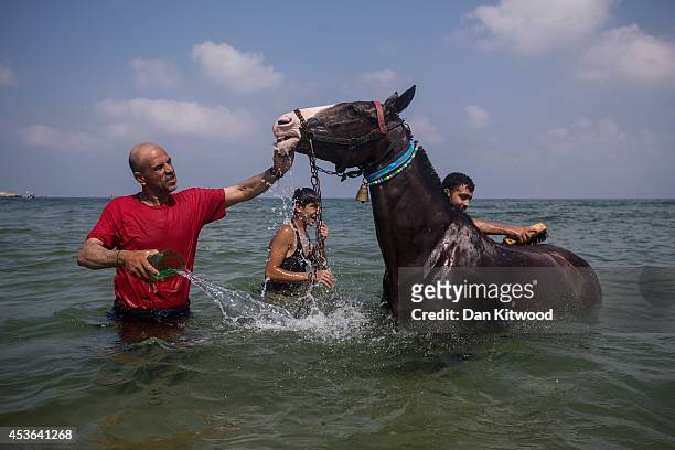 Palestinians wash a horse in the sea on August 15, 2014 in Gaza City, Gaza. A new five-day ceasefire between Palestinian factions and Israel went...