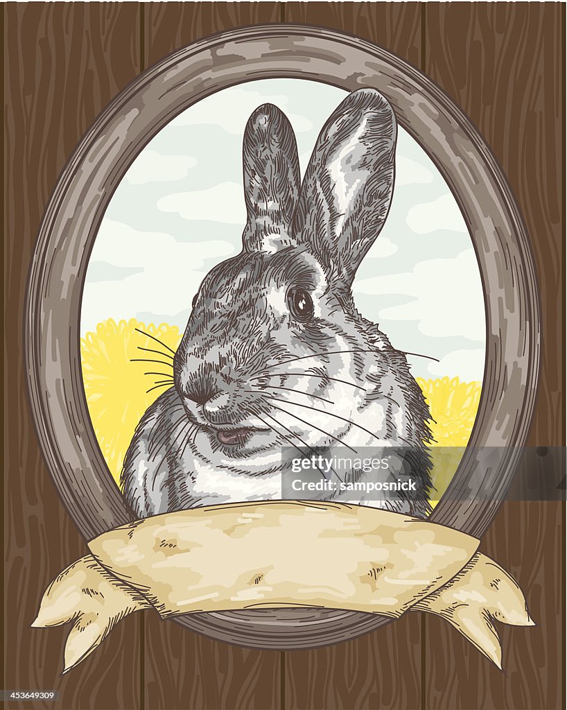 Comic Book Style Frame Rabbit Vintage Rabbit In Frame High-Res Vector Graphic - Getty Images