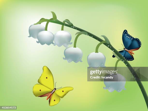 stockillustraties, clipart, cartoons en iconen met butterfly and lily of the valley - lily of the valley