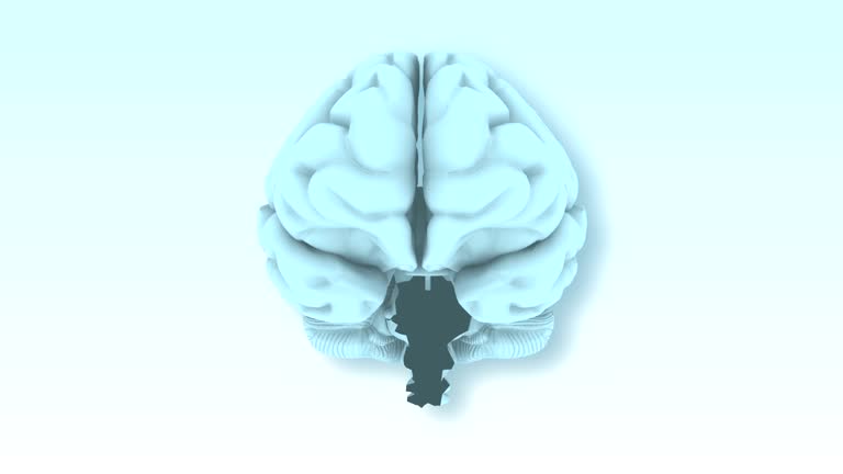 Brain Texture Videos and HD Footage - Getty Images Brain Texture Videos and HD Footage - Getty Images