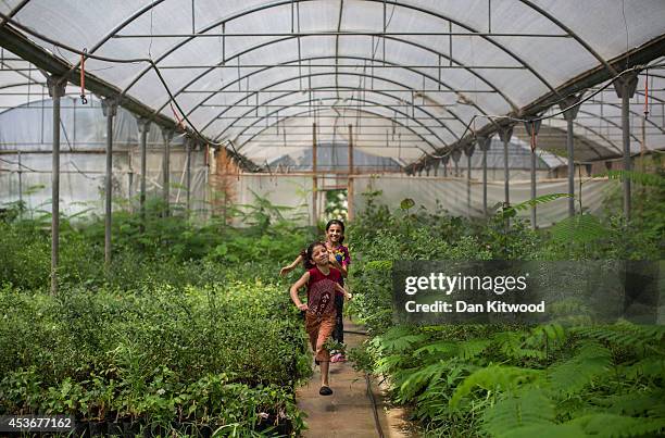 Sisters Nour and Saja Al Banna cool down by running through a greenhouse irrigation system on August 16, 2014 in Gaza City, Gaza. A five-day...