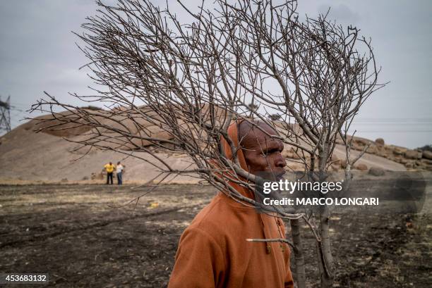 South African miner dances carrying a branch of tree on August 16, 2014 in front of the hill where two years ago miners where gunned down by the...