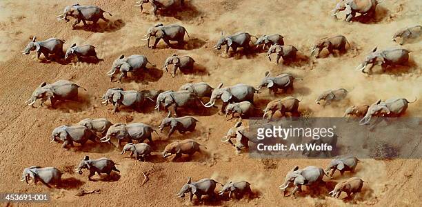 african elephant herd (loxodonta africana),kenya (digital composite) - herd stock pictures, royalty-free photos & images