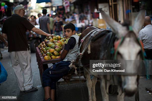 Palestinians boy sells fruit from the back of a horse and cart in a market area on August 16, 2014 in Gaza City, Gaza. A new five-day ceasefire...