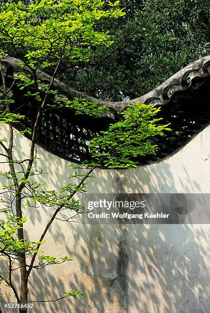 China, Shanghai, Yu Yuan Garden , Ming Dynasty Wall, Tree.