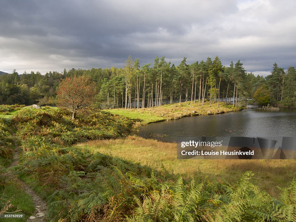 Tarn Hows in autumn