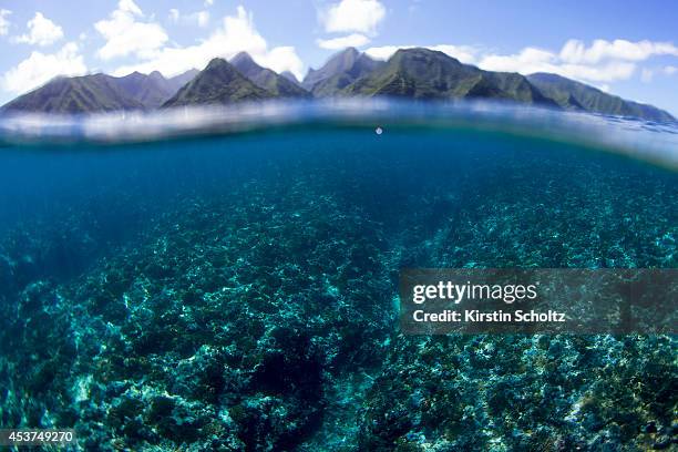Tiparoo Reef Teahupoo Reef Photos and Premium High Res Pictures - Getty Images