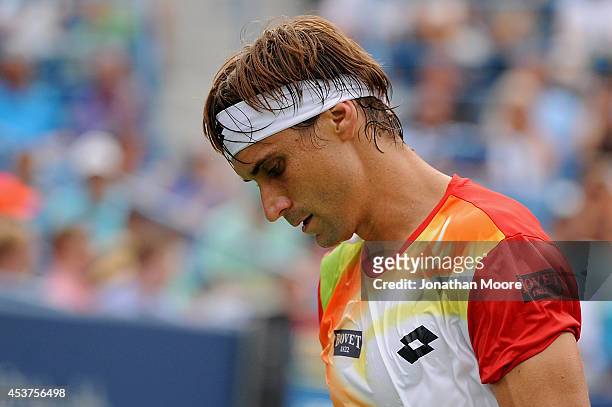 David Ferrer of Spain reacts during a final match against Roger Federer of Switzerland on day 9 of the Western & Southern Open at the Linder Family...