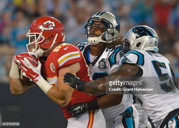 42 Carolina Panthers Robert Lester Photos & High Res Pictures - Getty Images