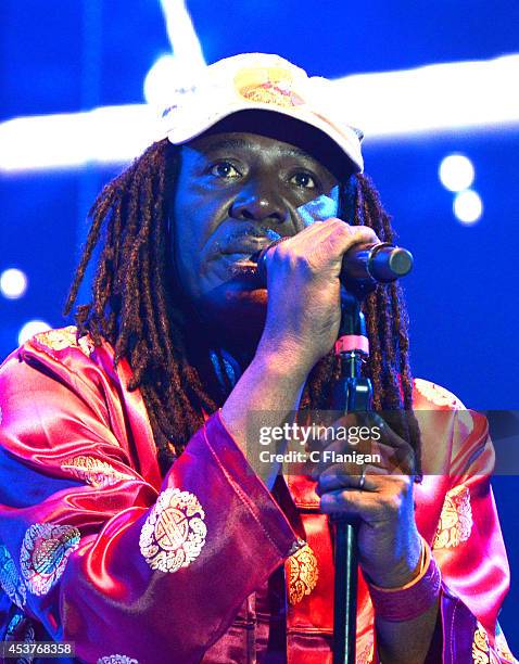 Reggae legend Alpha Blondy performs during the 30th Annual Reggae On The River Festival on August 3, 2014 in Piercy, California.