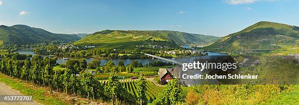Senheim Senheim Photos and Premium High Res Pictures - Getty Images