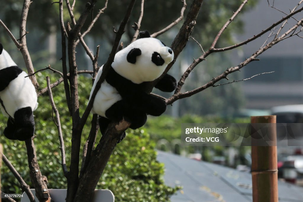 300 Pandas Models Exhibit In Beijing