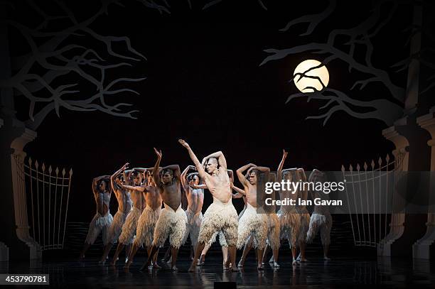 Dancers perform during a photocall for Matthew Bourne's "Swan Lake" at Sadler's Wells Theatre on December 5, 2013 in London, England.