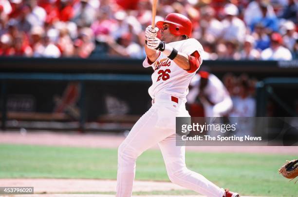 Eli Marrero of the St. Louis Cardinals bats against the Los Angeles Dodgers at Busch Stadium on July 7, 2002 in St. Louis, Missouri.