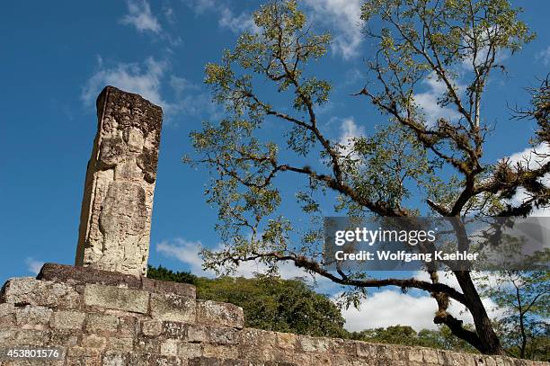 Honduras, Copan Ruins, Mayan Archaelogical Site, Great Plaza, Ballcourt, Stela.
