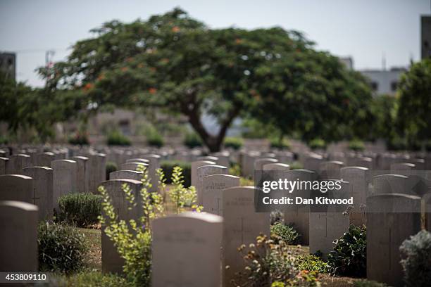 General view of the Gaza War Cemetary on August 16, 2014 in Gaza City, Gaza. Gaza War Cemetery contains 3,217 Commonwealth burials of the First World...