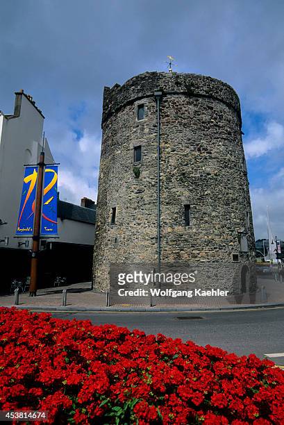 Ireland, Waterford, Reginald's Tower, Flowers.