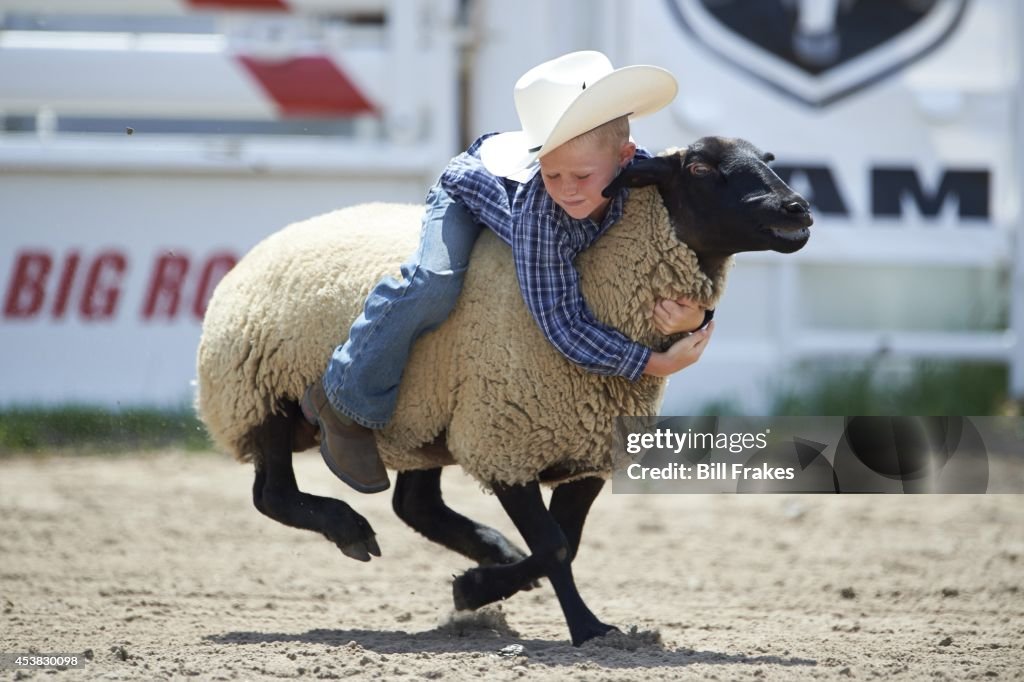 Nebraska's Little Rodeo: View of young boy riding sheep during Mutton ...