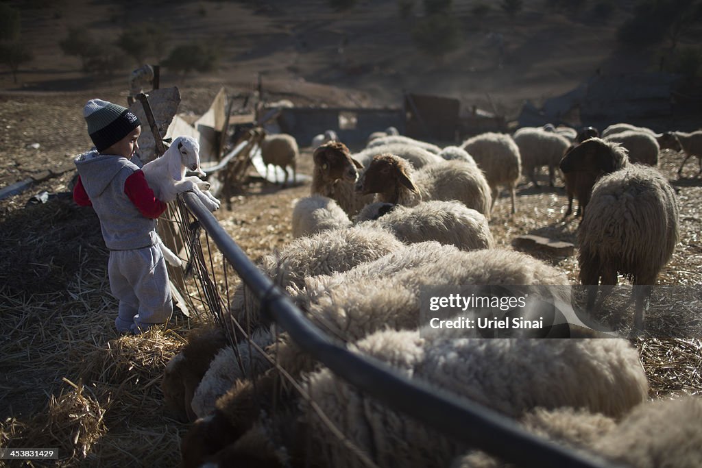 Bedouins Of The Negev Desert