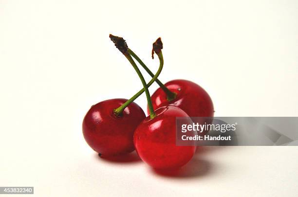 In this handout photo provided by the Cherry Marketing Institute, Sour Cherry Cluster.
