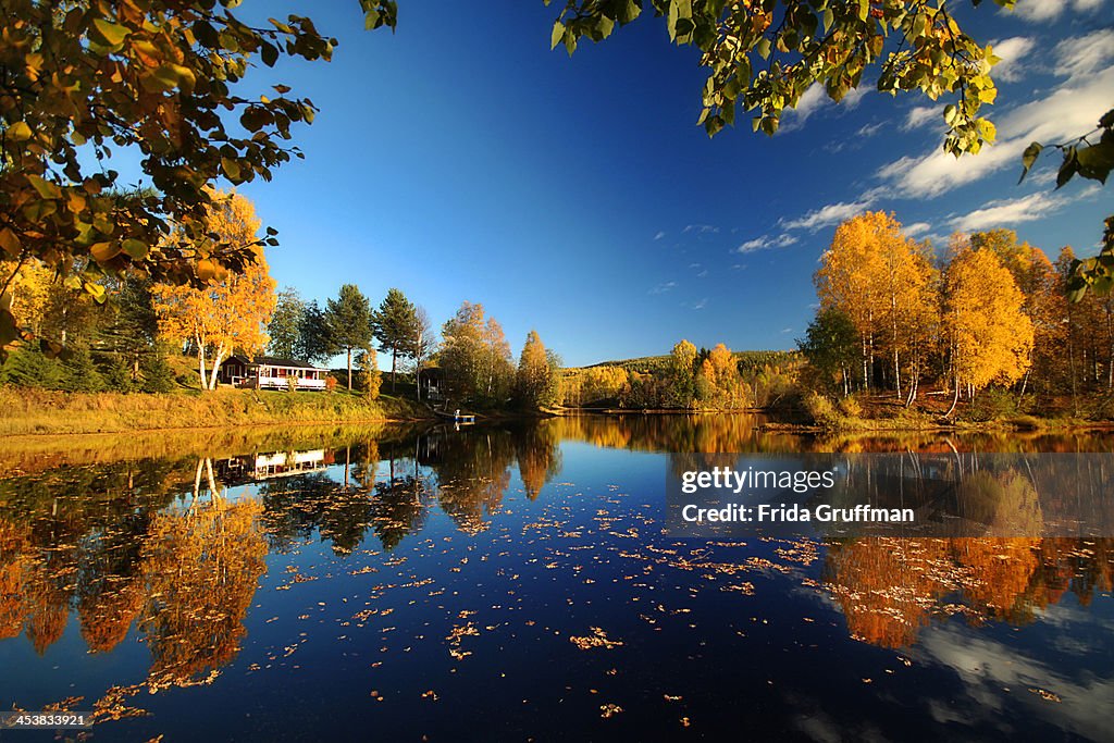 Autumn by the lake