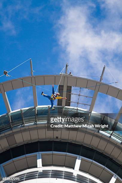 a bungee jumper and the auckland sky tower - sky tower bildbanksfoton och bilder