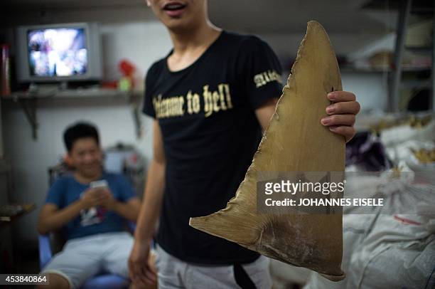 China-environment-social-food-economy,FOCUS by Felicia SONMEZ This photo taken on August 9, 2014 shows a young worker holding a dried shark fin at a...
