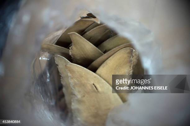 China-environment-social-food-economy,FOCUS by Felicia SONMEZ This photo taken on August 9, 2014 shows a sack of dried shark fins at a shop in...