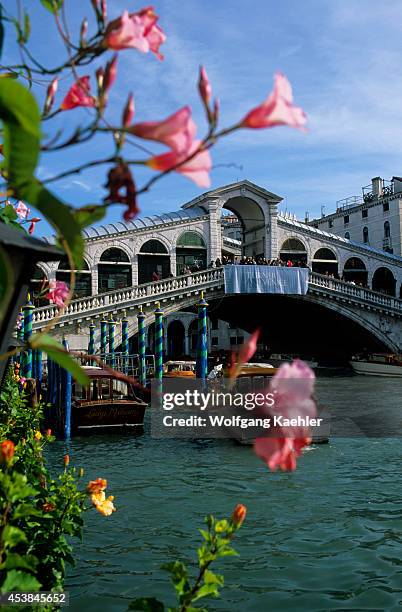 Italy, Venice, Grand Canal, Rialto Bridge, Flowers.