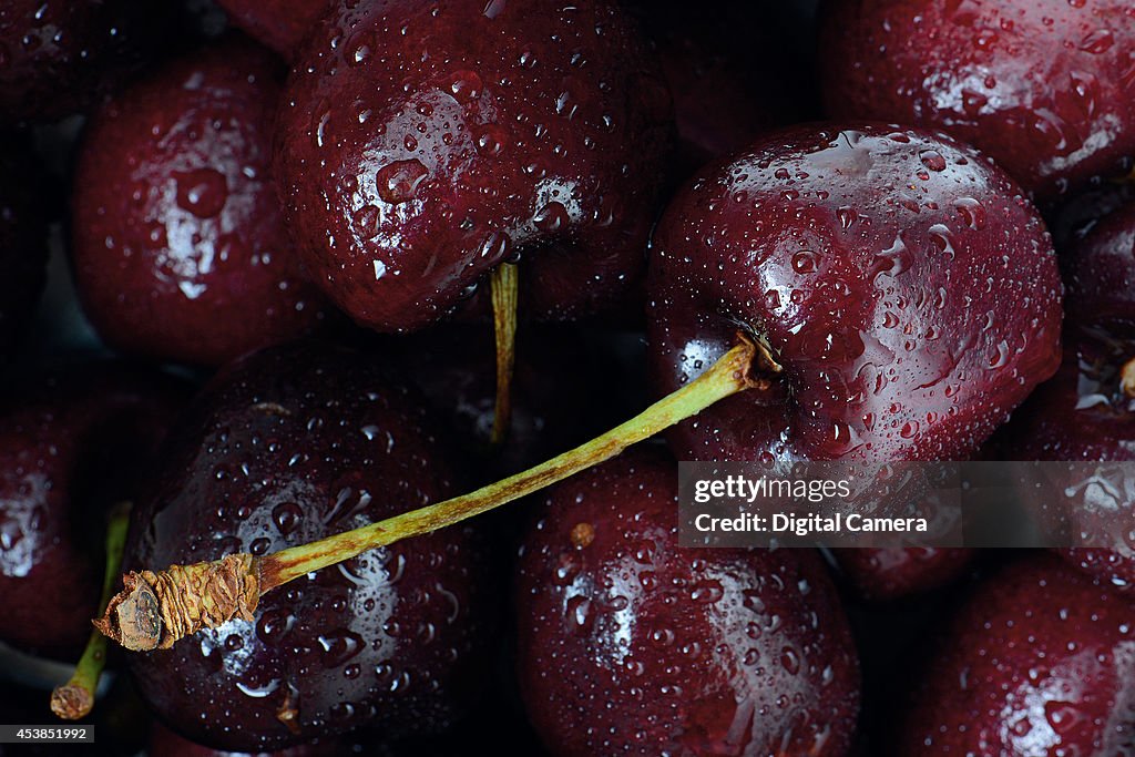 Assorted Macro Shoots