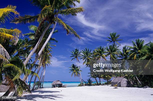 Cook Islands, Palmerston Atoll,tropical Island Scene With Thatched Hut And Coconut Palm Trees.