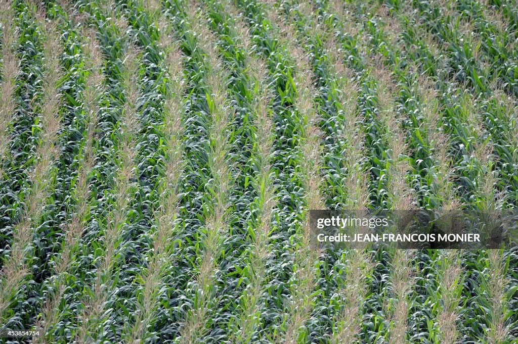 FRANCE-AGRICULTURE