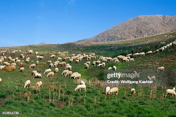 Scillato Photos and Premium High Res Pictures Getty Images