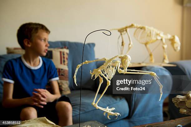 Ten-year-old Francois Malherbe during an interview on August 13, 2014 in Cape Town, South Africa. Malherbe and his father collect and reconstruct...