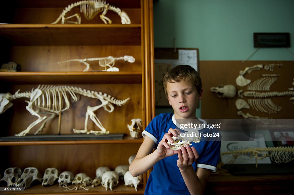 South African 10-year-old Collects Roadkill Skeletons