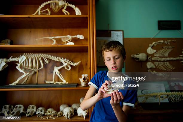 Ten-year-old Francois Malherbe during an interview on August 13, 2014 in Cape Town, South Africa. Malherbe and his father collect and reconstruct...