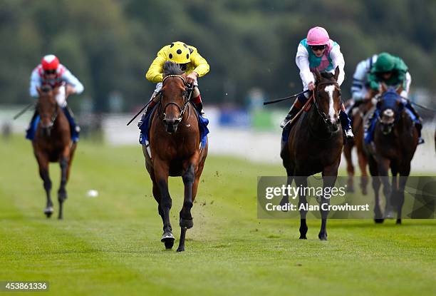 Andrea Atzeni riding Postponed win The Neptune Investment management Great Voltigeur Stakes at York racecourse on August 20, 2014 in York, England.