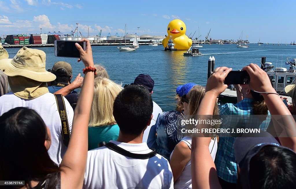 US-ART-RUBBER DUCK