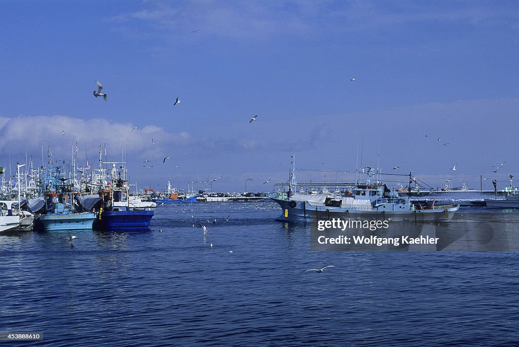 Japan, Hokkaido Island, Shiretoko Peninsula, Rausu, Harbor...