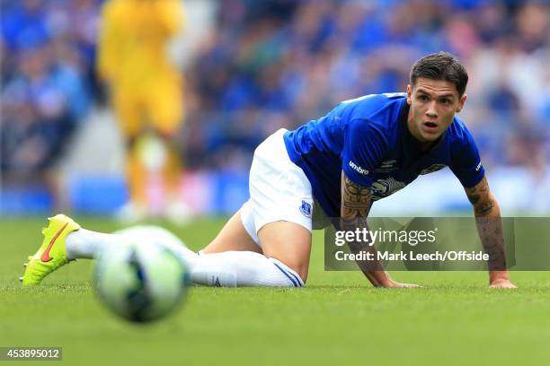 Muhamed Besic of Everton watches the ball during the pre-season friendly match between Everton and FC Porto at Goodison Park on August 3, 2014 in...