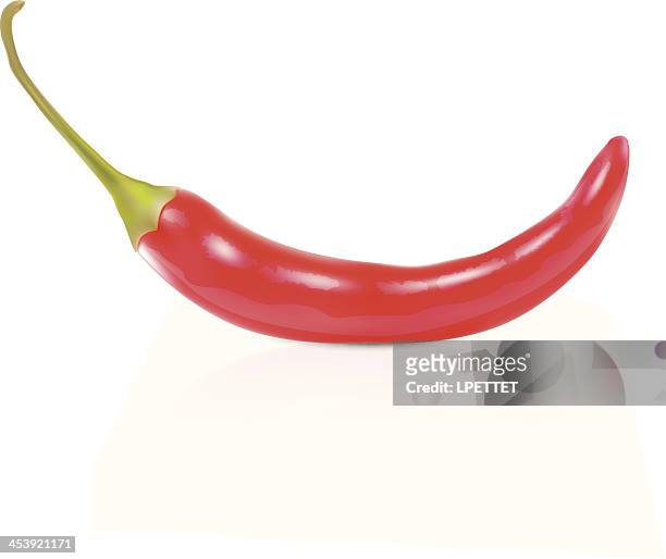 chilli pepper - vector illustration - cayenne powder stock illustrations