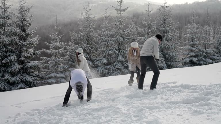 Snowball Compilation 29 Snowballing Stock Videos, Footage, & 4K Video Clips - Getty Images